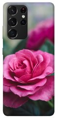 Чехол для Samsung Galaxy S21 Ultra PandaPrint Роза в саду цветы