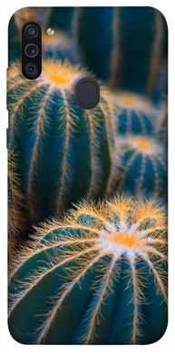 Чехол для Samsung Galaxy M11 PandaPrint Кактусы цветы