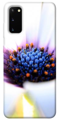 Чехол для Samsung Galaxy S20 PandaPrint Полевой цветок цветы