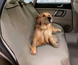 Защитный коврик в машину для собак PetZoom, коврик для животных в автомобиль, чехол для перевозки