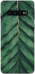 Чехол для Samsung Galaxy S10 PandaPrint Пальмовый лист цветы