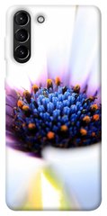 Чохол для Samsung Galaxy S21 + PandaPrint Польовий квітка квіти