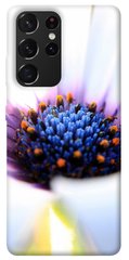 Чохол для Samsung Galaxy S21 Ultra PandaPrint Польовий квітка квіти