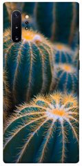 Чохол для Samsung Galaxy Note 10 Plus PandaPrint Кактуси квіти