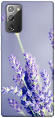 Чехол для Samsung Galaxy Note 20 PandaPrint Лаванда цветы