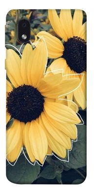 Чехол для Samsung Galaxy M01 Core / A01 Core PandaPrint Два подсолнуха цветы