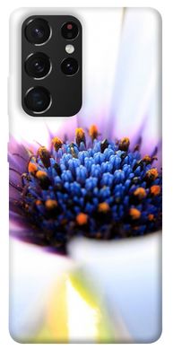 Чехол для Samsung Galaxy S21 Ultra PandaPrint Полевой цветок цветы