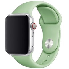 Силиконовый ремешок для Apple watch 38mm / 40mm (Мятный / Mint)