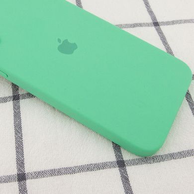 Чехол для Apple iPhone 11 Pro Silicone Full camera / закрытый низ + защита камеры (Зеленый / Spearmint)