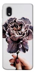 Чехол для Samsung Galaxy M01 Core / A01 Core PandaPrint Гвоздика цветы