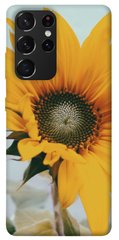 Чехол для Samsung Galaxy S21 Ultra PandaPrint Подсолнух цветы