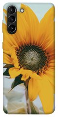 Чехол для Samsung Galaxy S21+ PandaPrint Подсолнух цветы