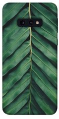 Чехол для Samsung Galaxy S10e PandaPrint Пальмовый лист цветы