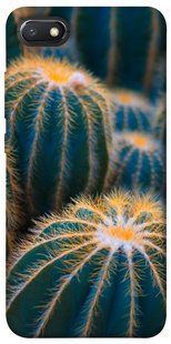 Чохол для Xiaomi Redmi 6A PandaPrint Кактуси квіти