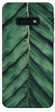 Чехол для Samsung Galaxy S10e PandaPrint Пальмовый лист цветы