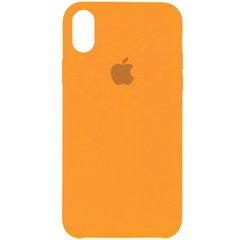 Чохол для Apple iPhone XR (6.1 "") Silicone Case Помаранчевий / Vitamin C