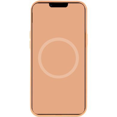 Чехол для Apple Iphone 12 / 12 pro Silicone case Original 1:1 full with Magsafe / Оранжевый / Cantaloupe