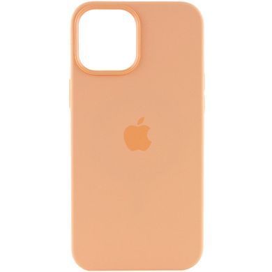 Чехол для Apple Iphone 12 / 12 pro Silicone case Original 1:1 full with Magsafe / Оранжевый / Cantaloupe