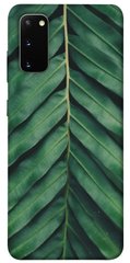 Чехол для Samsung Galaxy S20 PandaPrint Пальмовый лист цветы