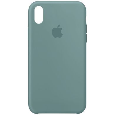 Чохол для Apple iPhone XR (6.1 "") Silicone Case Зелений / Cactus