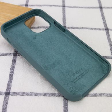 Чохол silicone case for iPhone 12 Pro / 12 (6.1") (Зелений / Pine green)