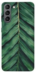 Чехол для Samsung Galaxy S21 PandaPrint Пальмовый лист цветы