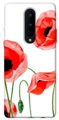 Чохол для OnePlus 8 PandaPrint Акварельні маки квіти