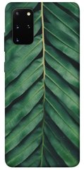 Чехол для Samsung Galaxy S20+ PandaPrint Пальмовый лист цветы