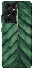 Чохол для Samsung Galaxy S21 Ultra PandaPrint Пальмовий лист квіти