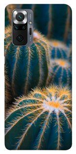 Чехол для Xiaomi Redmi Note 10 Pro Кактусы цветы