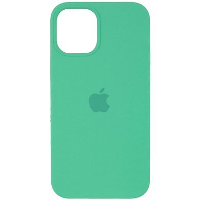 Чехол Silicone Case (AA) для Apple iPhone 12 Pro Max (6.7") (Зеленый/Spearmint)