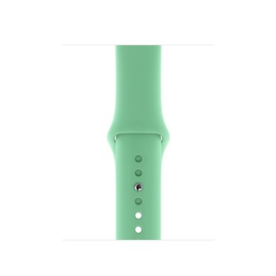 Силиконовый ремешок для Apple watch 42mm / 44mm (Зеленый / Spearmint)