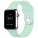 Силиконовый ремешок для Apple watch 38mm / 40mm (Бирюзовый / Turquoise)