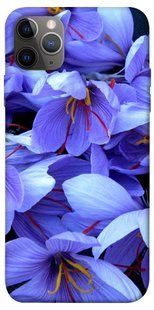 Чехол для Apple iPhone 12 Pro Max (6.7"") PandaPrint Фиолетовый сад цветы