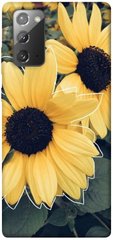 Чехол для Samsung Galaxy Note 20 PandaPrint Два подсолнуха цветы