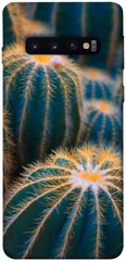 Чехол для Samsung Galaxy S10 PandaPrint Кактусы цветы