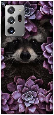 Чехол для Samsung Galaxy Note 20 Ultra PandaPrint Енот в цветах цветы