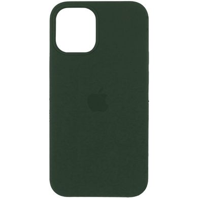 Чохол silicone case for iPhone 12 Pro / 12 (6.1") (Зелений / Cyprus Green)