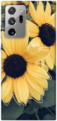 Чехол для Samsung Galaxy Note 20 Ultra PandaPrint Два подсолнуха цветы