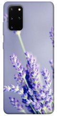 Чохол для Samsung Galaxy S20 + PandaPrint Лаванда квіти