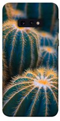 Чехол для Samsung Galaxy S10e PandaPrint Кактусы цветы