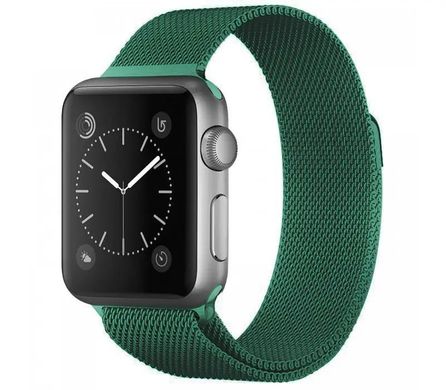 Ремешок для Apple Watch 38/40/41 mm Milanese Loop Dark Green