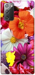 Чехол для Samsung Galaxy Note 20 PandaPrint Бархатный сезон цветы