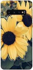 Чохол для Samsung Galaxy S10 PandaPrint Два соняшнику квіти