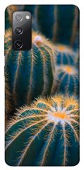 Чехол для Samsung Galaxy S20 FE PandaPrint Кактусы цветы