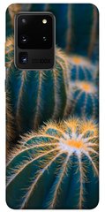 Чохол для Samsung Galaxy S20 Ultra PandaPrint Кактуси квіти
