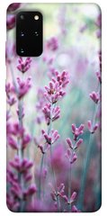 Чохол для Samsung Galaxy S20 + PandaPrint Лаванда 2 квіти