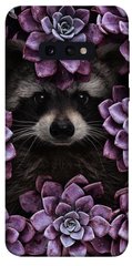 Чехол для Samsung Galaxy S10e PandaPrint Енот в цветах цветы