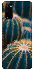 Чехол для Samsung Galaxy S20 PandaPrint Кактусы цветы