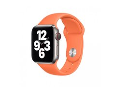 Силиконовый ремешок для Apple watch 38mm / 40mm (Оранжевый / Kumquat)